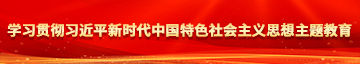 射给我啊啊啊学习贯彻习近平新时代中国特色社会主义思想主题教育